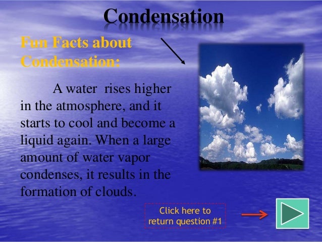 Water Cycle Facts 62